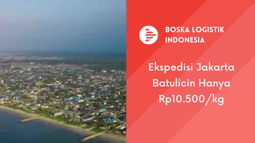 ekspedisi jakarta batulicin