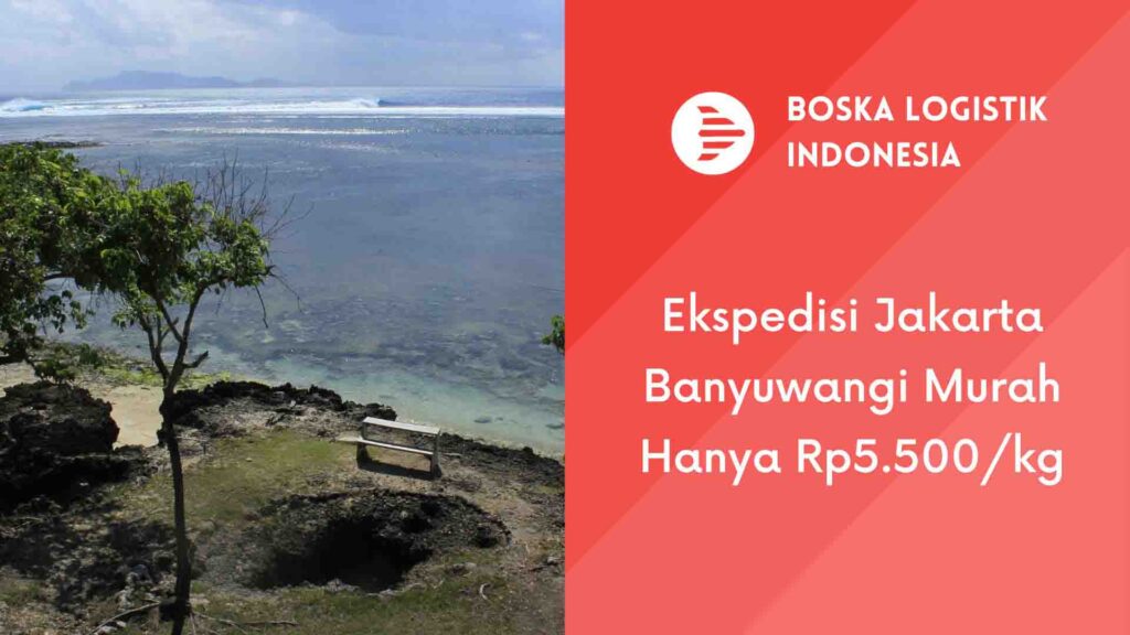 ekspedisi jakarta banyuwangi