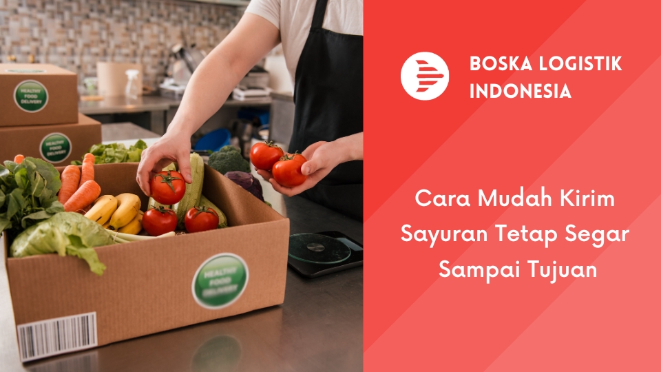 Cara Mudah Kirim Sayuran Tetap Segar Sampai Tujuan