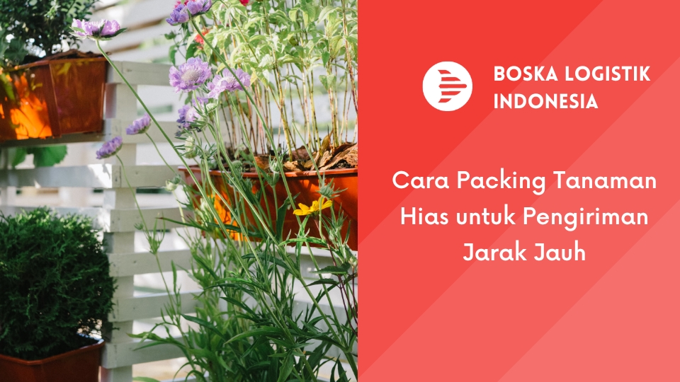 Cara Packing Tanaman Hias untuk Pengiriman Jarak Jauh